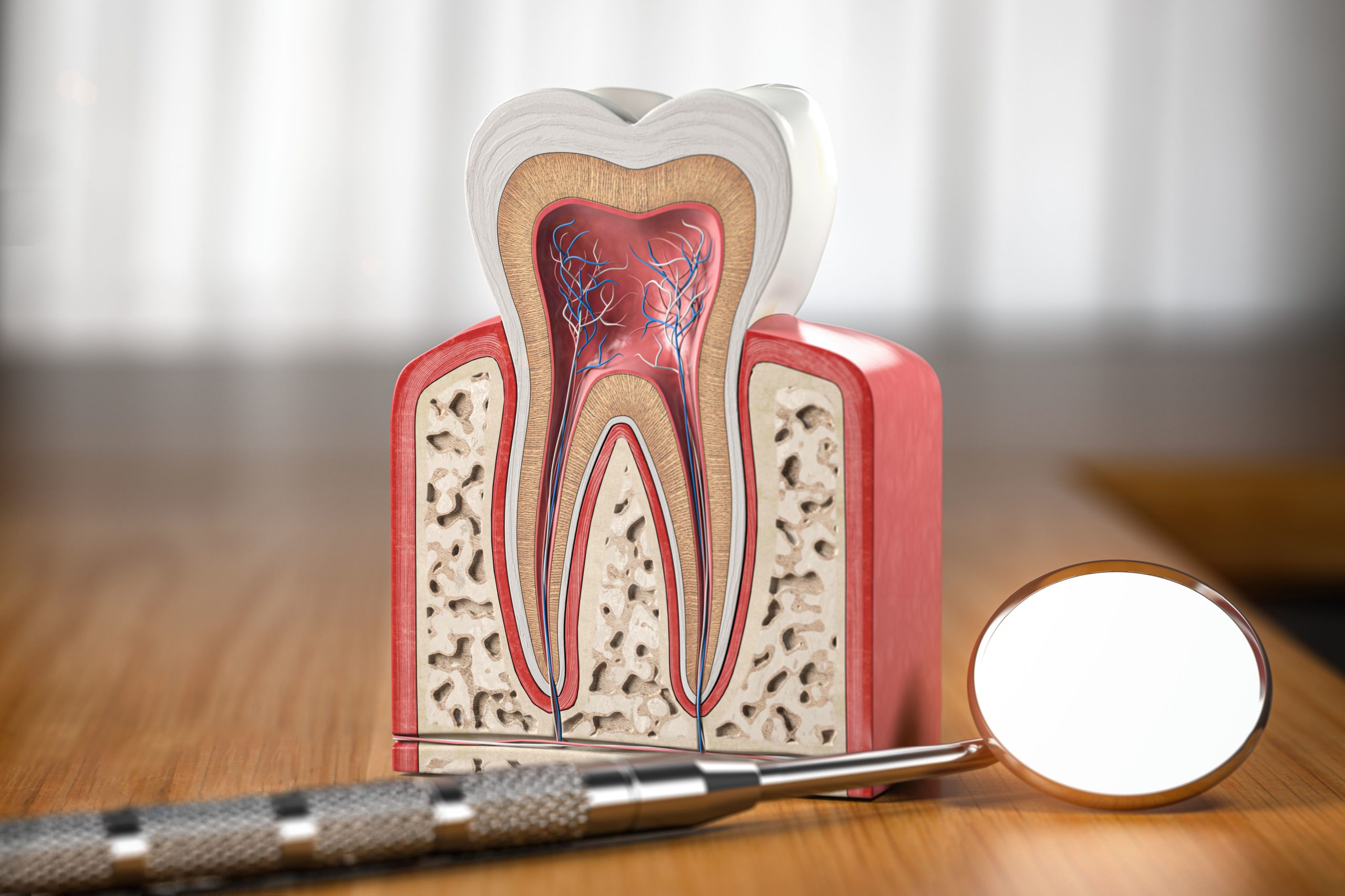 Root Canal - Kensington Court Clinic - tooth roots Root Canal - Top Image